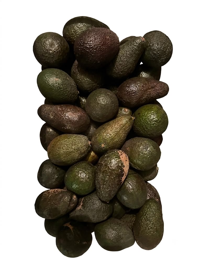 Palta Hass 1,1 kg